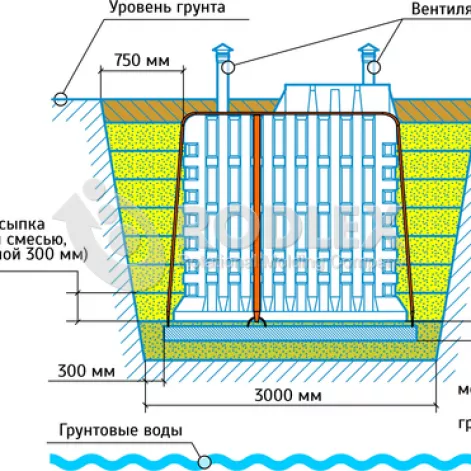  в Плесе