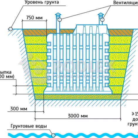  в Плесе